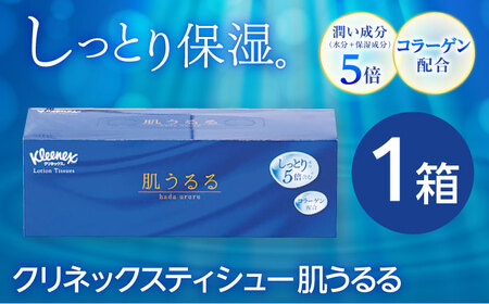 F08 ティシュー・トイレットロール詰合せ 16点セット ティッシュトイレットペーパー[BDAM023]【年内発送】