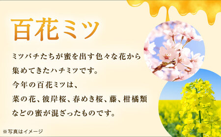 はちみつ 開成町の百花はちみつ 140ｇ  [BDAO001]
