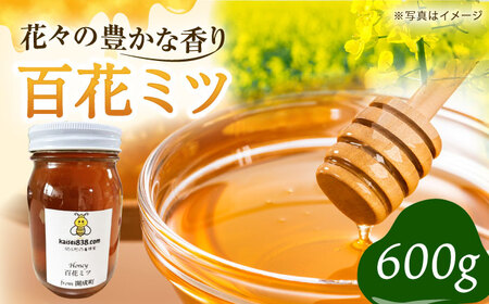 はちみつ 開成町の百花はちみつ 600g [BDAO002]