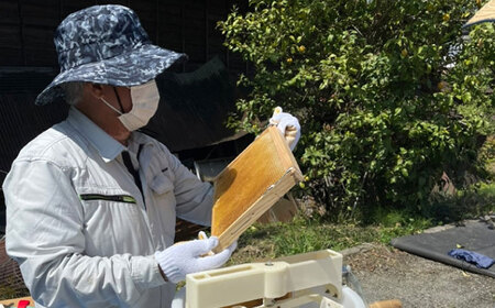 はちみつ 開成町の百花はちみつ 600g [BDAO002]