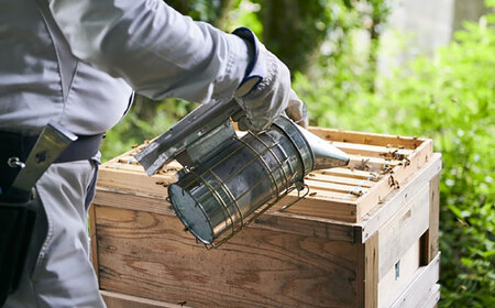 はちみつ 開成町の百花はちみつ 600g [BDAO002]