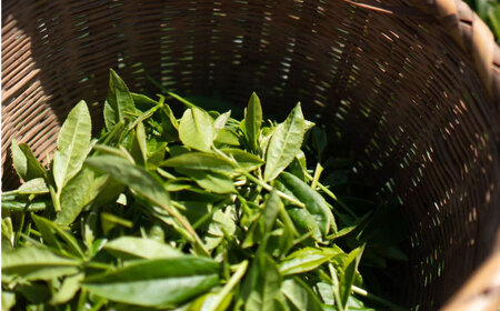 玉露100g 快晴茶 玉露粉末 [BDAT005]