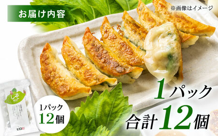【年内発送】【1パック】餃子屋ヒロの 人気のしそ餃子 ぎょうざ[BDAS003-1]