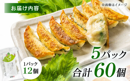 【年内発送】【5パック】餃子屋ヒロの 人気のしそ餃子 ぎょうざ[BDAS003-3]
