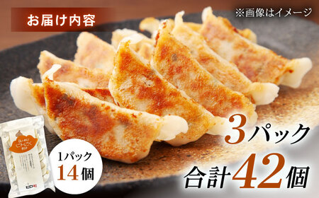 【年内発送】【3パック】餃子屋ヒロの ほんのりにんにく餃子 ぎょうざ[BDAS005-2]