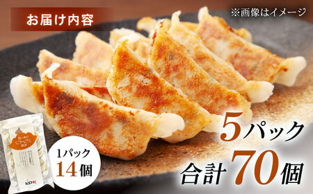 【年内発送】【5パック】餃子屋ヒロの ほんのりにんにく餃子 ぎょうざ[BDAS005-3]