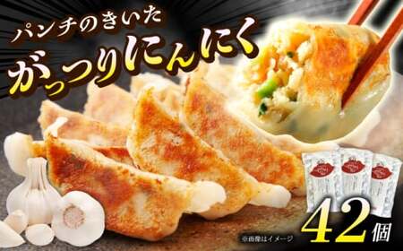 【年内発送】【3パック】餃子屋ヒロの がっつりにんにく餃子 ぎょうざ[BDAS004-2]