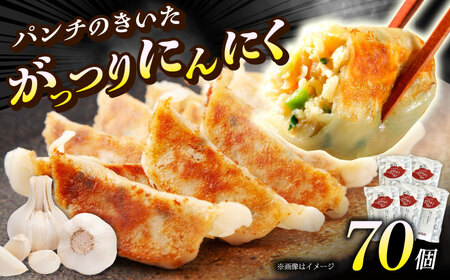 【年内発送】【5パック】餃子屋ヒロの がっつりにんにく餃子 ぎょうざ[BDAS004-3]