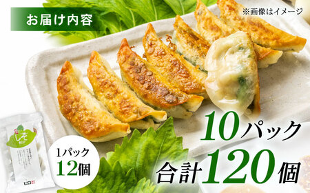 【年内発送】【10パック】餃子屋ヒロの 人気のしそ餃子 ぎょうざ[BDAS003-4]