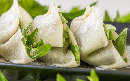 【年内発送】【10パック】餃子屋ヒロの 人気のしそ餃子 ぎょうざ[BDAS003-4]