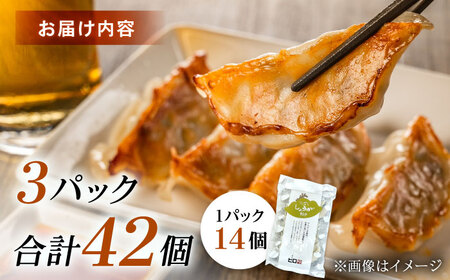 【年内発送】【3パック】餃子屋ヒロの しょうが餃子 ぎょうざ[BDAS006-2]