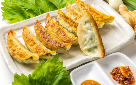 【全12回定期便】【3パック】餃子屋ヒロの 人気のしそ餃子 ぎょうざ[BDAS012]