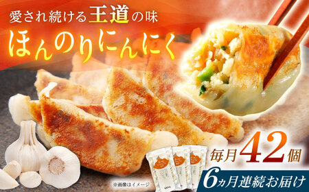 【全6回定期便】【3パック】餃子屋ヒロの ほんのりにんにく餃子 ぎょうざ[BDAS014]