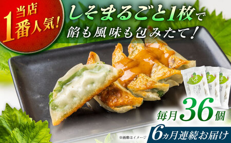 【全6回定期便】【3パック】餃子屋ヒロの 人気のしそ餃子 ぎょうざ[BDAS011]
