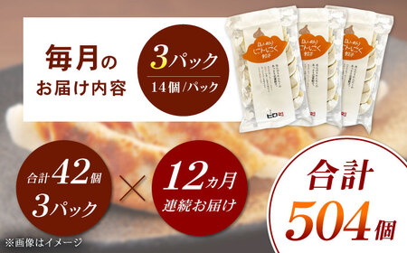 【全12回定期便】【3パック】餃子屋ヒロの ほんのりにんにく餃子 ぎょうざ[BDAS015]