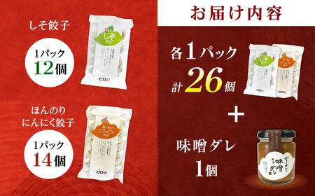 【年内発送】【計2パック】餃子屋ヒロの大人気餃子セット＋特製味噌ダレ付 ぎょうざ[BDAS009-1]