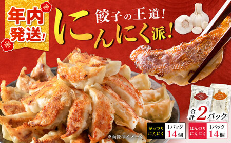 【年内発送】【王道！にんにく派×1パック】餃子2種セット！餃子 ぎょうざ[BDAS008-1]