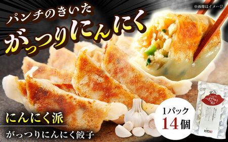 【年内発送】【王道！にんにく派×1パック】餃子2種セット！餃子 ぎょうざ[BDAS008-1]