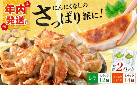 【年内発送】【さっぱり！しそ＆しょうが派×1パック】餃子2種セット！餃子 ぎょうざ[BDAS008-2]