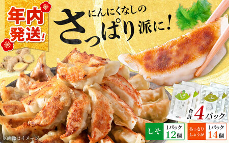 【年内発送】【さっぱり！しそ＆しょうが派×2パック】餃子2種セット！餃子 ぎょうざ[BDAS008-4]