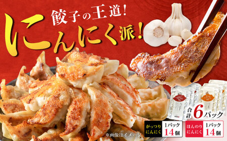 【王道！にんにく派×3パック】餃子2種セット！餃子 ぎょうざ[BDAS008-5]