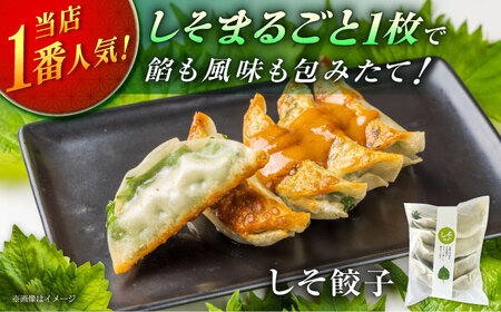 【年内発送】餃子屋ヒロの3種食べ比べセット 餃子 ぎょうざ[BDAS002]