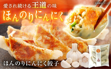 【年内発送】餃子屋ヒロの3種食べ比べセット 餃子 ぎょうざ[BDAS002]