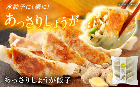 【年内発送】餃子屋ヒロの3種食べ比べセット 餃子 ぎょうざ[BDAS002]