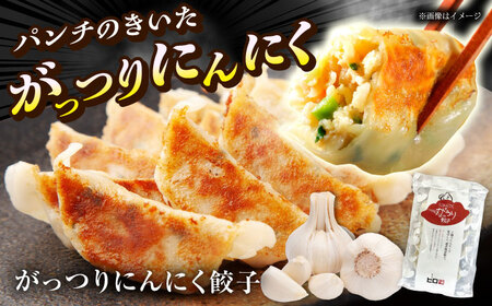 【年内発送】餃子屋ヒロの全種類食べ比べセット餃子 ぎょうざ[BDAS007]