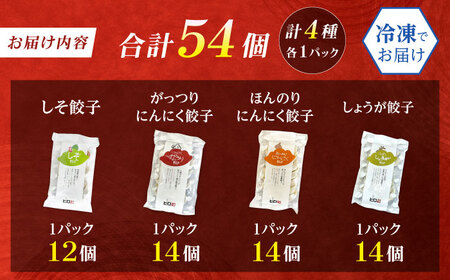 【年内発送】餃子屋ヒロの全種類食べ比べセット餃子 ぎょうざ[BDAS007]