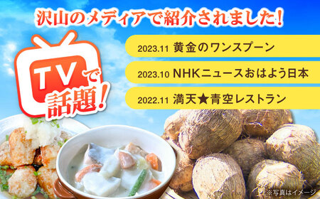 【先行予約】里芋2キロ 里芋 [BDAX002]