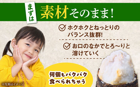 【先行予約】里芋2キロ 里芋 [BDAX002]