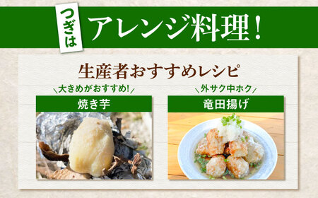 【先行予約】里芋2キロ 里芋 [BDAX002]