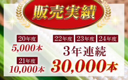 【先行予約】【数量限定】白いとうもろこし ホワイトショコラ 5本 とうもろこし [BDAX001]