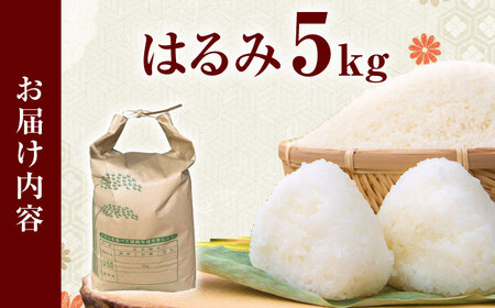 【年内発送】【令和7年産新米】はるみ米 5kg [BDBB002]