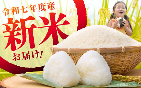 【年内発送】【令和7年産新米】はるみ米 10kg[BDBB003]