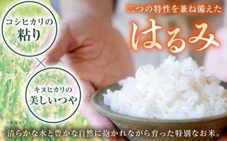 【年内発送】【令和7年産新米】はるみ米 10kg[BDBB003]