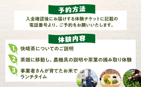 お茶摘み体験 体験チケット【ランチ付き】[BDAT006]