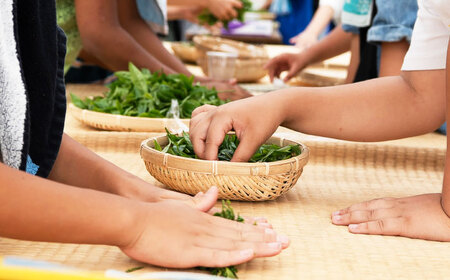 お茶摘み体験 体験チケット【ランチ付き】[BDAT006]