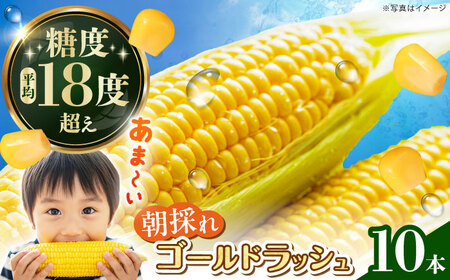 【先行予約】ゴールドラッシュ とうもろこし10本【遠藤ファーム】 トウモロコシ [BDAF004]