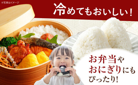 【先行予約】令和8年度 新米 はるみ 5kg【なんかいファーム】 新米 [BDBD002]