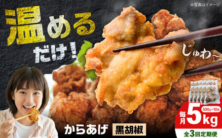 【全3回定期便】からあげ 黒胡椒味　5kg 計15kg【から太郎】[BDBC003-10] 12,000円