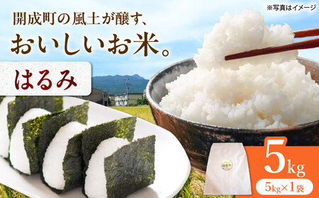 【令和7年産 白米】 はるみ 5kg 白米 はるみ[BDBF002-1]
