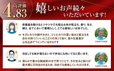 【年内発送】【令和7年度新米】はるみ 5kg 米 [BDAF001]