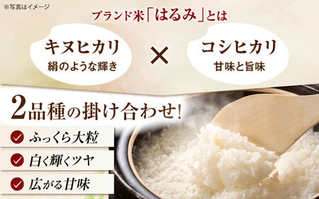 【年内発送】【令和7年度新米】はるみ 5kg 米 [BDAF001]