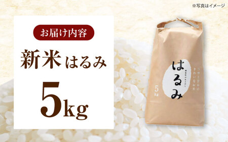 【年内発送】【令和7年度新米】はるみ 5kg 米 [BDAF001]