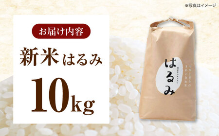 【年内発送】【令和7年度新米】はるみ 10kg 米 [BDAF002]