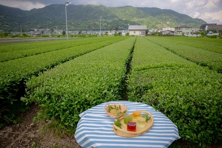 開成町オリジナルブランド「快晴茶」煎茶・紅茶・ほうじ茶・玉露 (粉末) 飲み比べセット [0144]