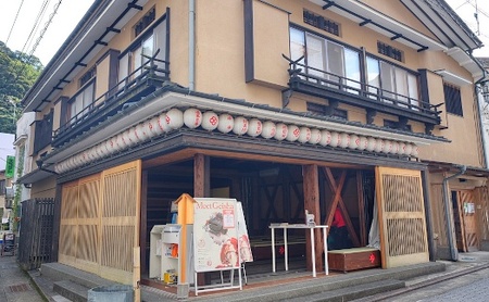 箱根芸者お座敷券［チケットチケット］