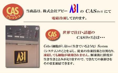 箱根 鯛ごはん懐石瓔珞（ようらく）　鯛ごはん3パック入り［レトルトレトルト］